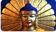 Buddhism Tours